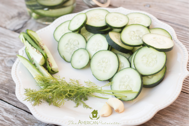 Homemade Spicy Refrigerator Pickles