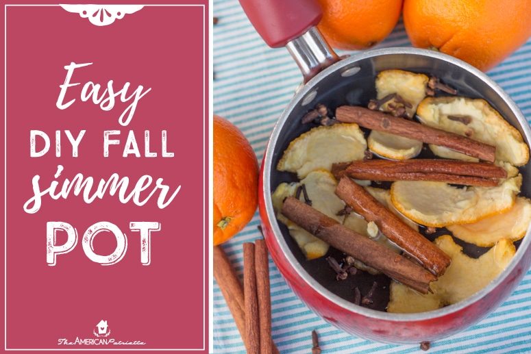 Easy DIY Fall Simmer Pot (Takes less than a minute to assemble!)