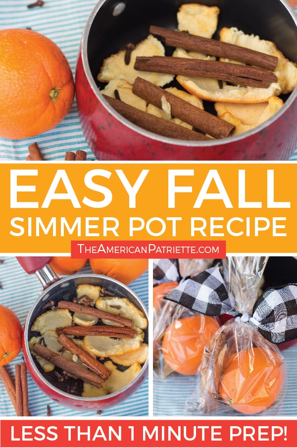 https://theamericanpatriette.com/wp-content/uploads/2018/09/Easy-Fall-Simmer-Pot-Recipe_Artboard-4.jpg