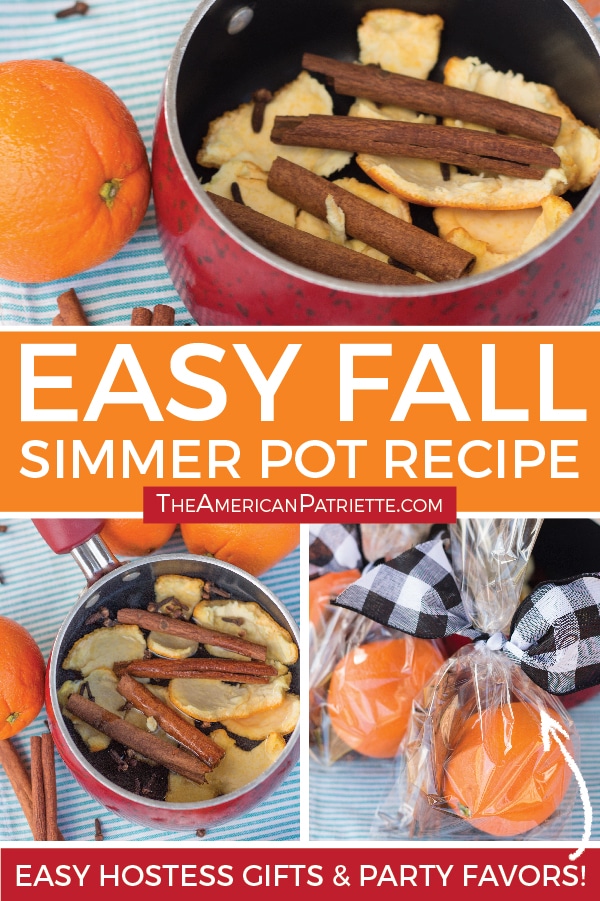 Easy Fall Simmer Pot Recipe to Make Your Home Smell Amazing