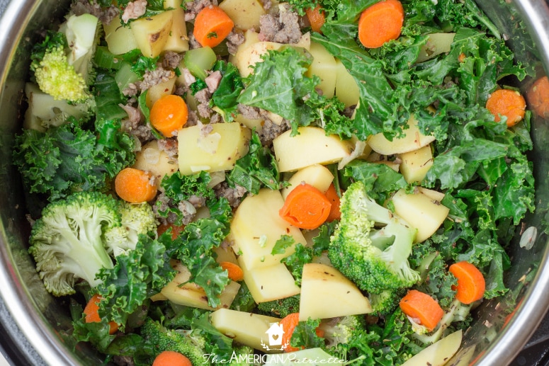 Instant Pot Hearty Potato & Vegetable Soup