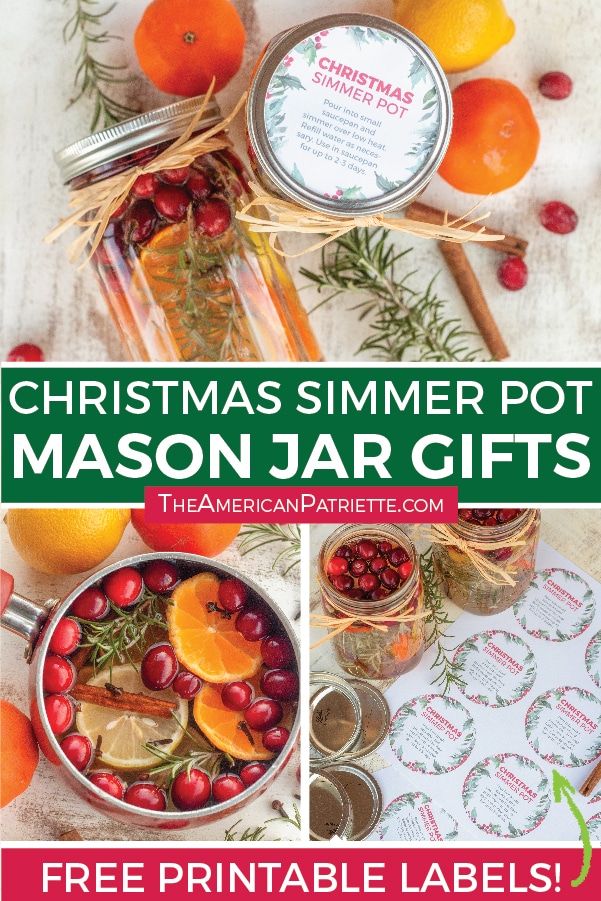 Easy DIY Christmas Simmer Pot Recipe (Less than 1 minute prep