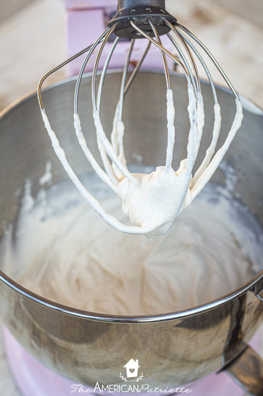 Whipped Cream Stand-In