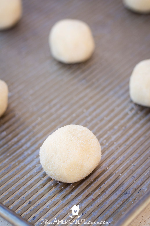 The BEST Easy and Chewy Sugar Cookie Recipe