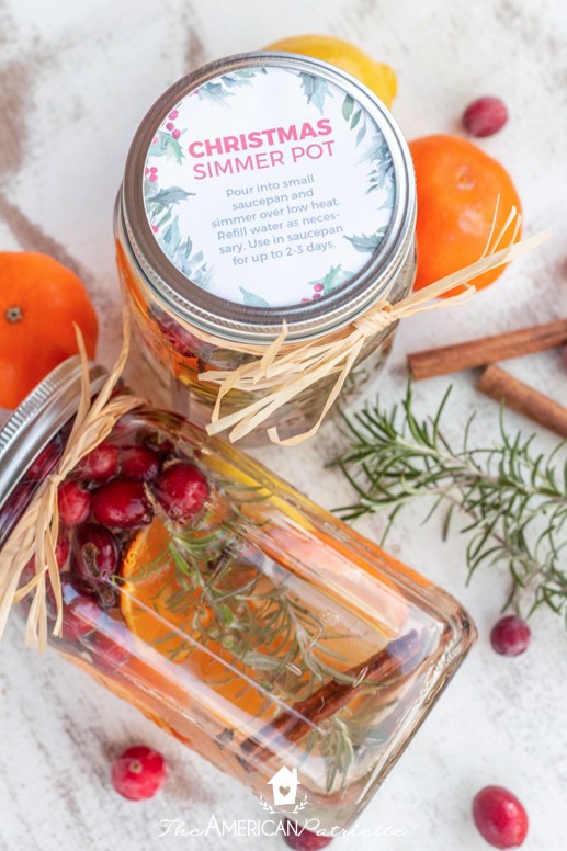 Easy Holiday Neighbor Gift Idea - Christmas Pot Simmer & Tag - Prickly Pear  Design Co.