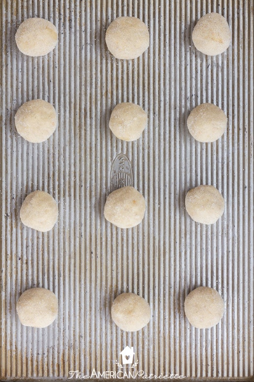 Spiced Orange Sugar Cookies