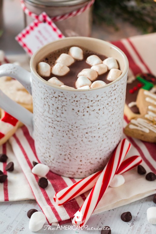Homemade Dark Chocolate Cocoa Mix (the BEST hot chocolate mix!)