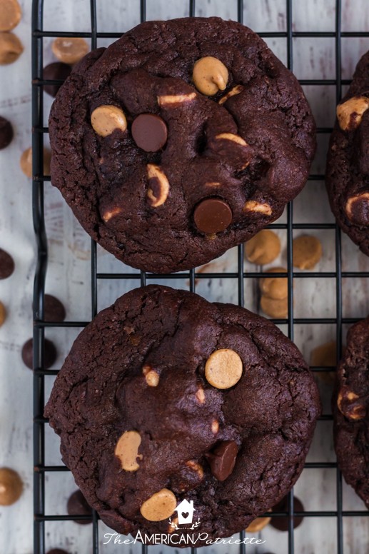 Chewy Chocolate Cookies with Reese's Peanut Butter Chips