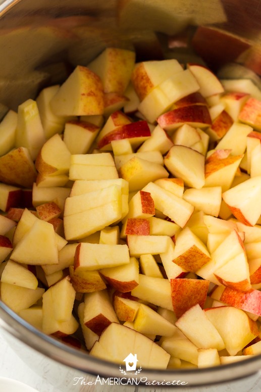 Easy Instant Pot Apple Butter Recipe